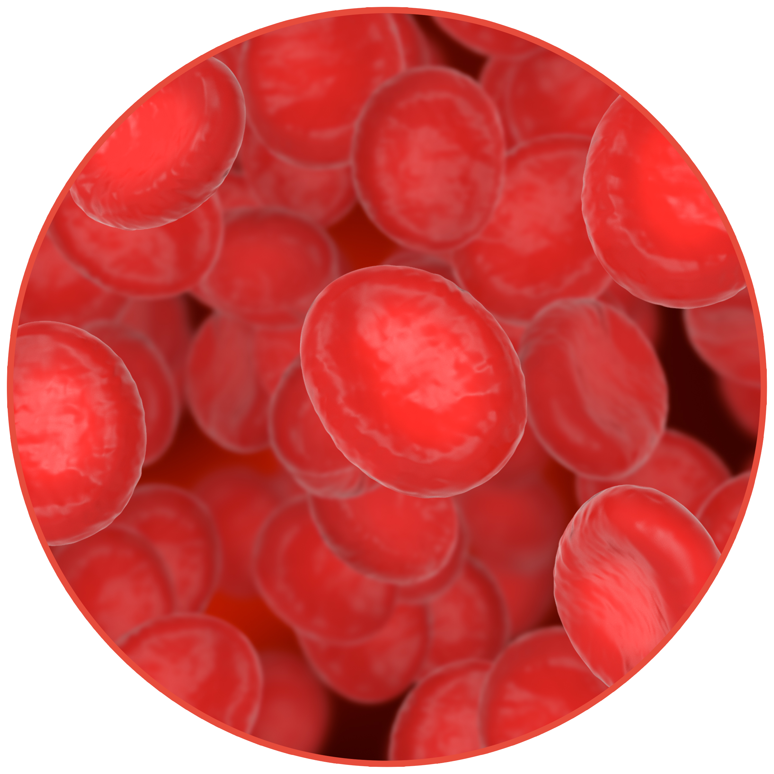 improved-iron-levels